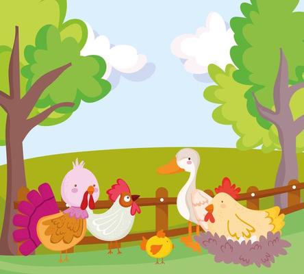 Conjunto de aves de fazenda isolado no fundo branco. fazenda de pássaros.  peru, frango, pato, galinha-d'angola, galo e ganso em estilo plano simples  de desenho animado. ilustração vetorial.