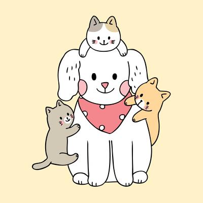 Coleção de vetores de desenhos animados de raças de gatos diferentes tipos  de gatinhos de desenhos animados vetoriais definem ilustração