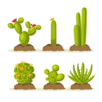 cacto plantas conjunto do deserto entre areia e pedras. realista vetor  ilustração isolado em fundo 26524682 Vetor no Vecteezy