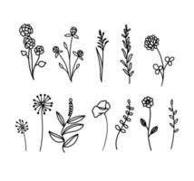 coleção vetorial de flores silvestres desenhadas à mão e ervas isoladas em fundo branco vetor