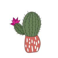 cacto de planta em casa em um vaso rosa. ilustração de doodle de vetor fofo da planta da casa