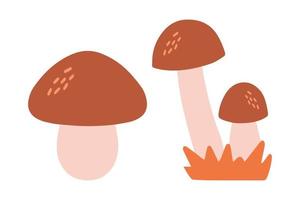 conjunto de ícones de cogumelos. ilustração vetorial de amanita isolada no fundo branco vetor