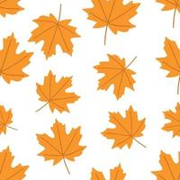 padrão de outono com folhas de plátano coloridas em um fundo branco. vetor