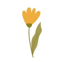 linda flor amarela isolada no fundo branco. ilustração vetorial em estilo simples desenhados à mão. perfeito para cartões, logotipo, decorações, designs de primavera e verão. clipart botânico. vetor