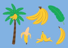 Conjunto de vetores de banana