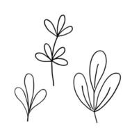 deixa a ilustração de conceito minimalista de vetor de contorno simples, ramo floral desenhado à mão de linha fina, elemento para convites, cartões, design de livreto