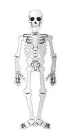 esqueleto em um fundo branco, elemento do feriado de halloween - vetor