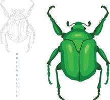 esboço de insetos para ilustração vetorial vetor