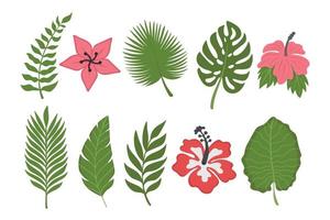 conjunto de flores tropicais e folhas. doodle clipart plano. todos os objetos são repintados. vetor