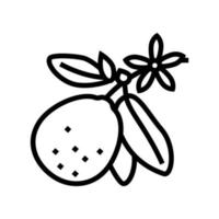 ilustração em vetor ícone de linha de flor de limão