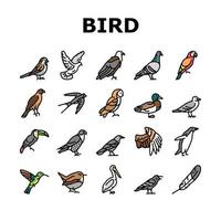 animal voador de pássaro com vetor definido de ícones de penas
