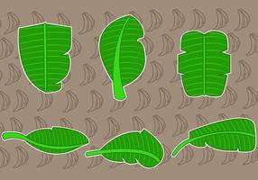 Vetores tropicais da folha de banana