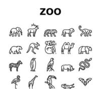 conjunto de ícones de animais de zoológico, pássaros e cobras vetor