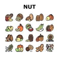 conjunto de ícones de nutrição natural delicioso noz vetor