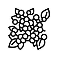 ilustração em vetor ícone de linha de ramo de planta de mirtilo