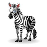 zebra engraçada dos desenhos animados vetor