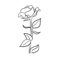 arte de linha desenhada à mão ilustração em vetor flor rosa