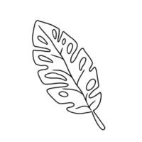 folha em ilustração vetorial de estilo doodle. elemento de planta natural isolado no fundo branco. vetor