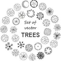 árvore para plantas arquitetônicas. projeto de comitiva. várias árvores, arbustos e arbustos, vista superior para o plano de projeto paisagístico. vetor