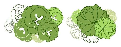 árvore para plantas arquitetônicas. projeto de comitiva. várias árvores, arbustos e arbustos, vista superior para o plano de projeto paisagístico. vetor