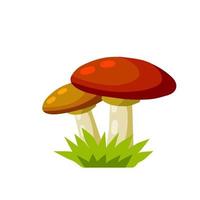 um cogumelo grande com uma tampa marrom. cep natural. Ingrediente alimentar. colheita de outono. vetor