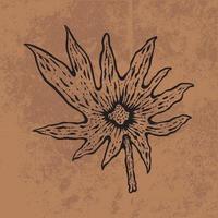 arte de linha de flores silvestres de doodle de folha botânica. mão desenhada ilustração vetorial. contorno floral vintage. adequado para papel de parede, pôster, adesivo, mídia social de conteúdo vetor