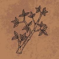 arte de linha de flores silvestres de doodle de folha botânica. mão desenhada ilustração vetorial. contorno floral vintage. adequado para papel de parede, pôster, adesivo, mídia social de conteúdo vetor