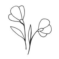 ilustração de doodle simples. desenho de flores de uma linha. ícone primavera, floração e jardinagem. vetor