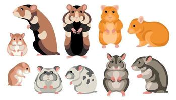 conjunto de desenhos animados de hamster vetor