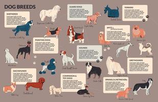 infográficos de doodle de raças de cães vetor
