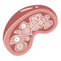 mitocôndria potência da célula vetor