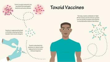 infográfico de vacina toxóide vetor