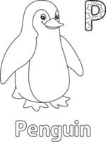 desenho de alfabeto de pinguim abc para colorir p vetor
