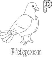 alfabeto de pombo abc para colorir p vetor