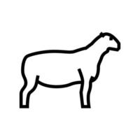 ilustração vetorial de ícone de linha de ovelhas dorper vetor