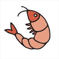 ilustração vetorial em estilo doodle, desenho animado. camarão doce, camarão cozido. ícone de cor isolado em um fundo branco. comida, animais marinhos. dieta sem carne vetor