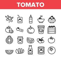 conjunto de ícones de coleção de comida vegetariana de tomate vetor