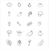 coleção desenhada à mão de ilustrações de doodle vegetais vetor