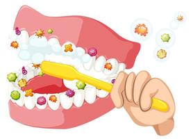 escovar os dentes e limpar as bactérias vetor