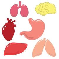 estoque ilustração vetorial desenho órgãos internos. simples desenho brilhante sobre um assunto médico, órgãos internos humanos. plano, doodle, estilo cartonado. estômago, cérebro, rins, fígado, coração, pulmões.