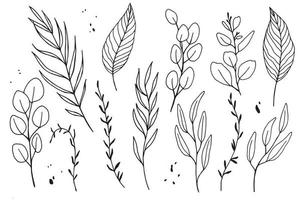 vetor linear definido com folhas tropicais. coleção de desenho de tinta de eucalipto, palmeira, monstera, folhas de bananeira. desenhado à mão