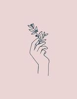 ilustração vetorial, desenho de linha. mão feminina com um raminho de planta medicinal isolada em um fundo rosa. um símbolo de esoterismo, magia, medicina popular. cosméticos naturais, cuidados com o corpo eco vetor