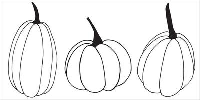 desenho vetorial de linithmi em estilo doodle. abóboras pretas e brancas. ilustração simples, gráficos. isolado na abóbora de fundo branco, símbolo do outono, halloween, ação de graças vetor