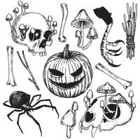 conjunto de desenhos vetoriais sobre o tema do halloween. desenhos gráficos preto e branco em estilo vintage. feitiçaria, magia, espiritualidade. caveira, cristal, cogumelos, sapo, poções, aranhas e ossos vetor