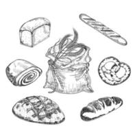 pão, ilustração vetorial desenhada à mão de um conjunto em estilo gráfico. de diferentes variedades de trigo, pão fresco, pãezinhos, baguete francesa. ilustração de gravura vintage para cartaz de padaria, rótulo e menu vetor