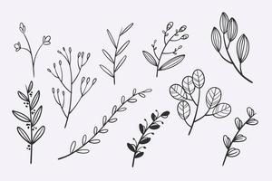 flor deixa doodle conjunto de ilustração vetorial desenhada à mão vetor