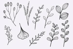 flor deixa doodle conjunto de ilustração vetorial desenhada à mão