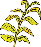 folhas de milho desenhadas à mão peculiares vetor