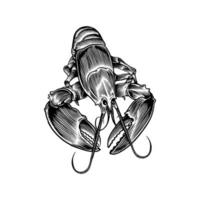 lagosta vintage desenhada de mão vetor