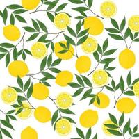 padrão de limão amarelo vetor